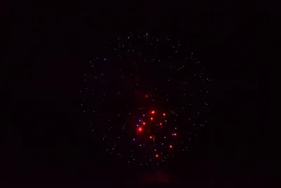 DSC_3404 (Large).JPG